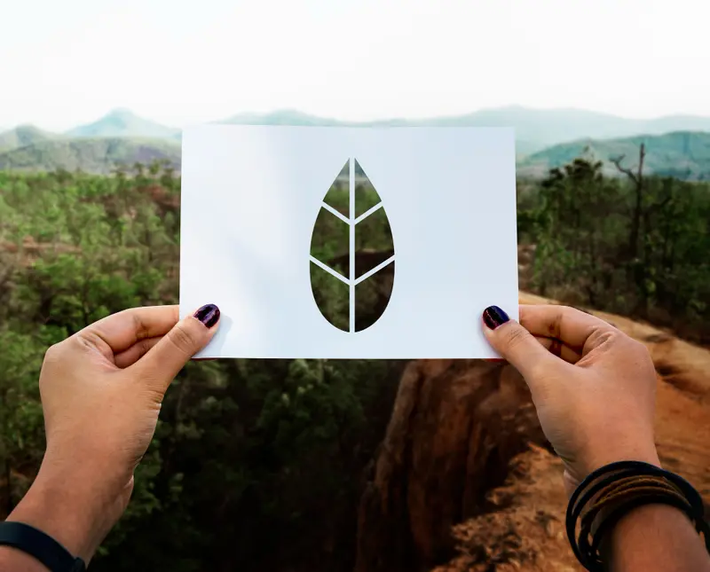 Réaliser un documentaire nature avec un petit budget : méthode, matériel et pièges à éviter