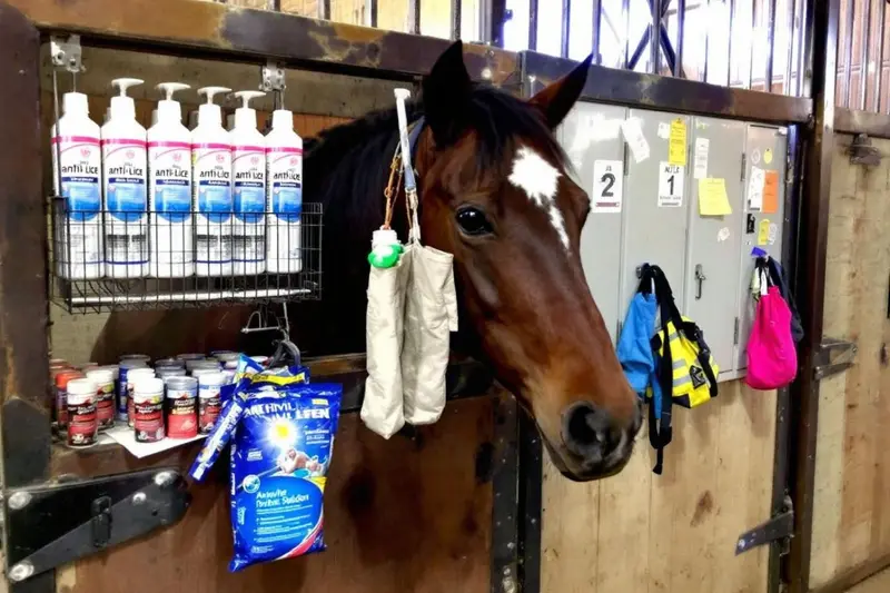 Comment stocker les produits anti-poux pour chevaux en toute sécurité