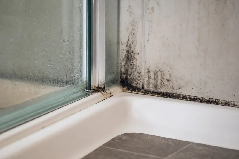 Le joint en silicone de la douche noircit à nouveau quelques semaines après le nettoyage : pourquoi la moisissure revient, et comment l'arrêter